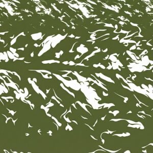 Dumb cane shade green