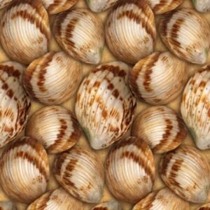 natural-speckled-cockle-shell-rust-white